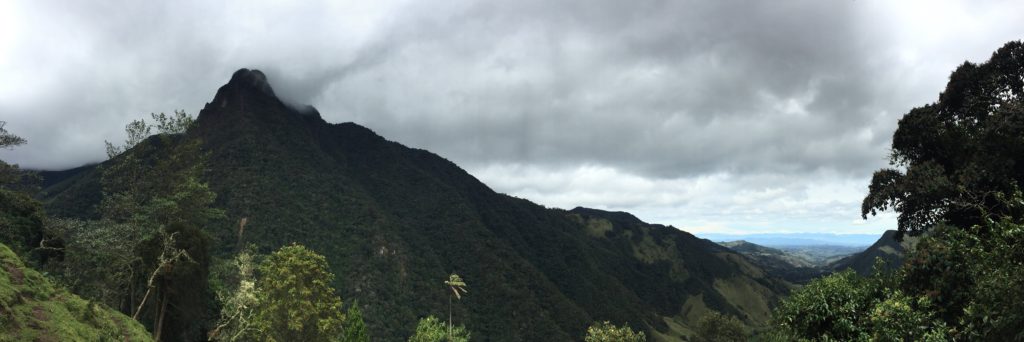 Pano in Cocora Valley