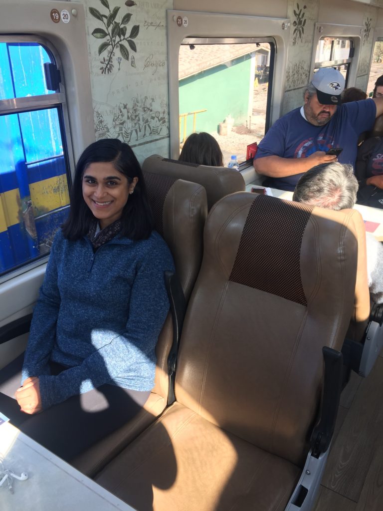 Inside Peru Rail Car