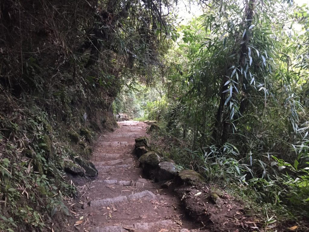 Hiking path down from Machu Picchu