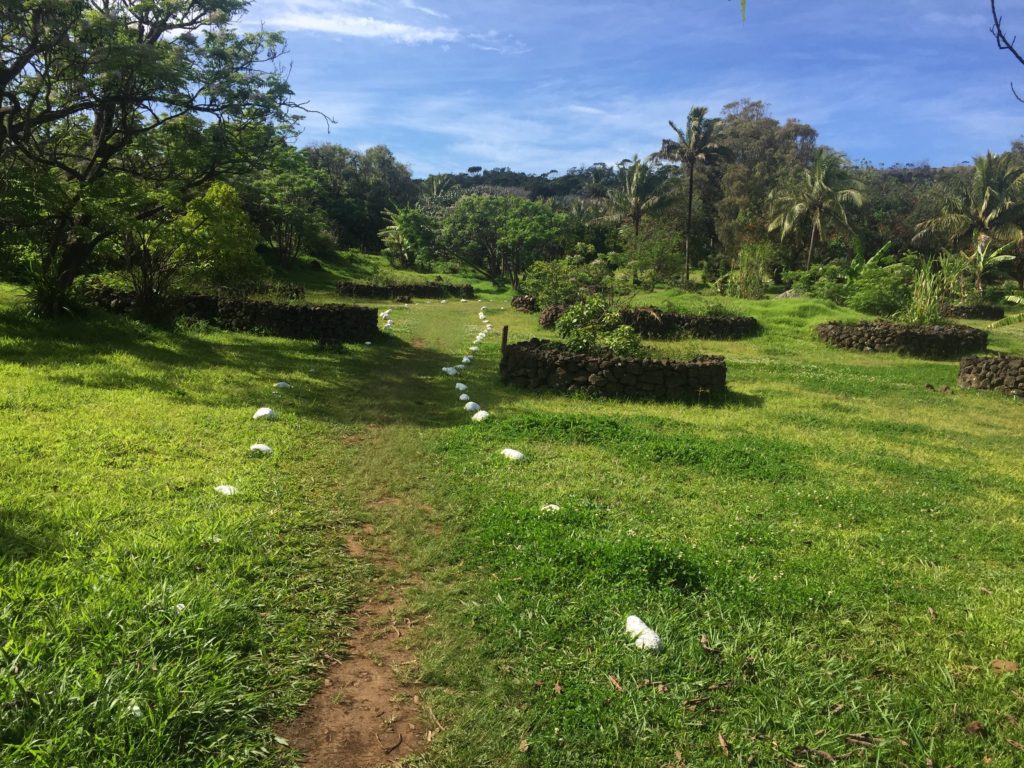 Marked path on Ara Te Ao Trail Easter Island