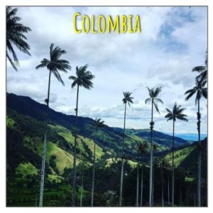 Colombia Salento Wax Palms