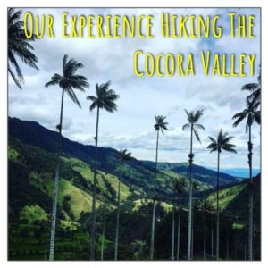 Our Experience Hiking the Cocora Valley