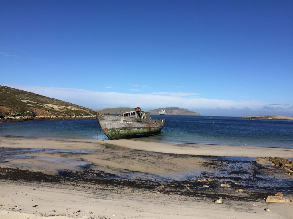 Shipwreck on New Island Falkland Islands