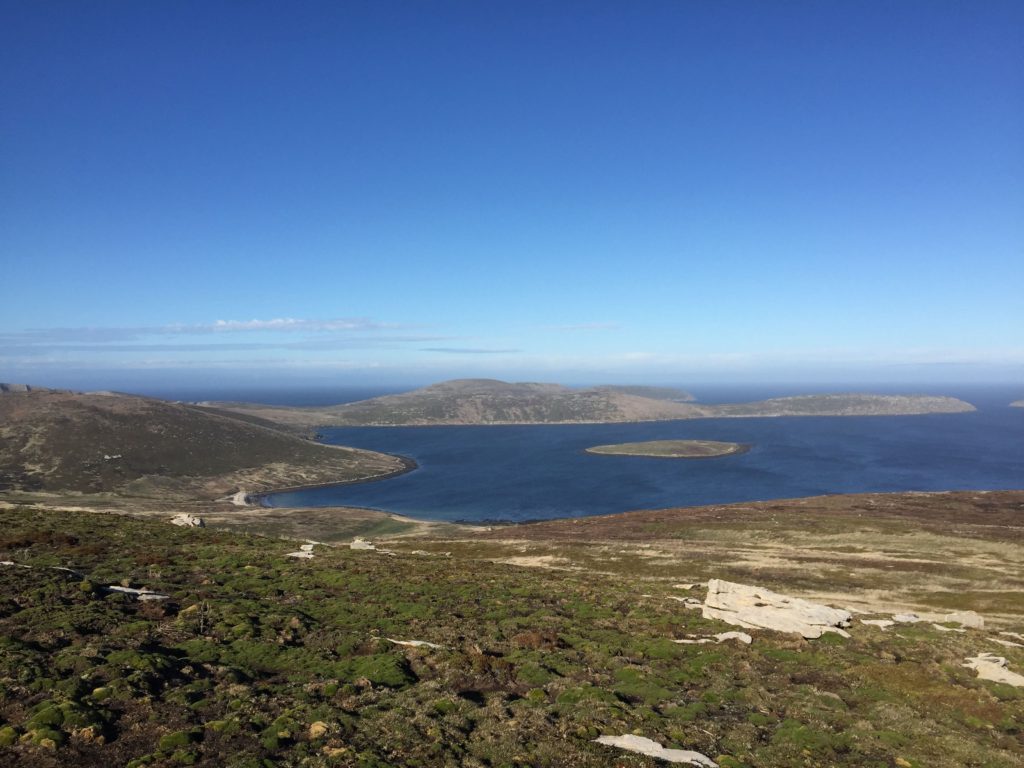 Beautiful View of New Island Falkland Islands