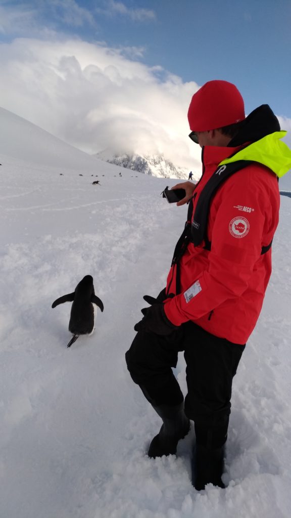 Taking a picture of a penguin at Neko Harbour Antarctica