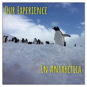 Our Experience In Antarctica