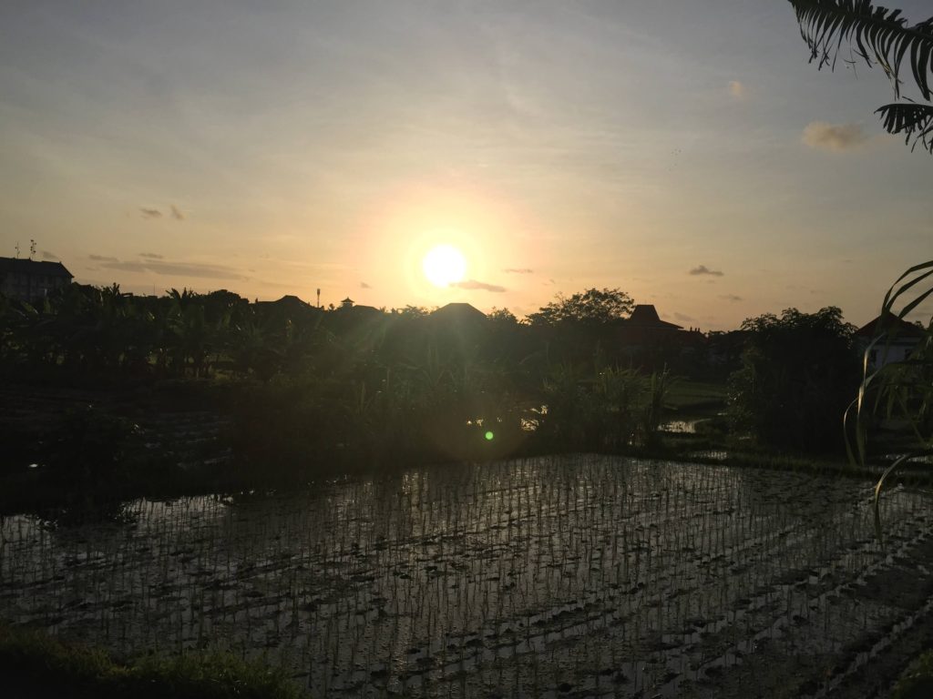 Seminyak sunset over rice terrace Bali