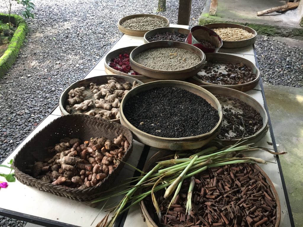 Fresh herbs at coffee plantation Ubud Bali