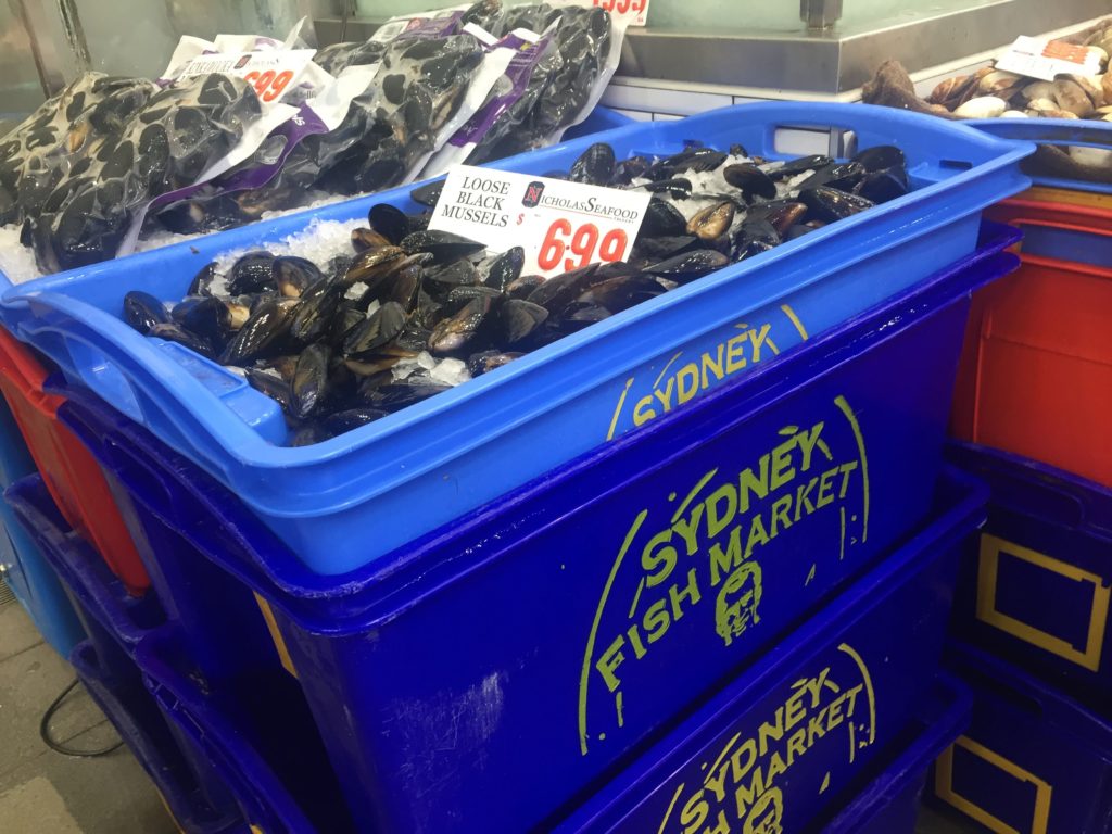 Sydney fish market bucket
