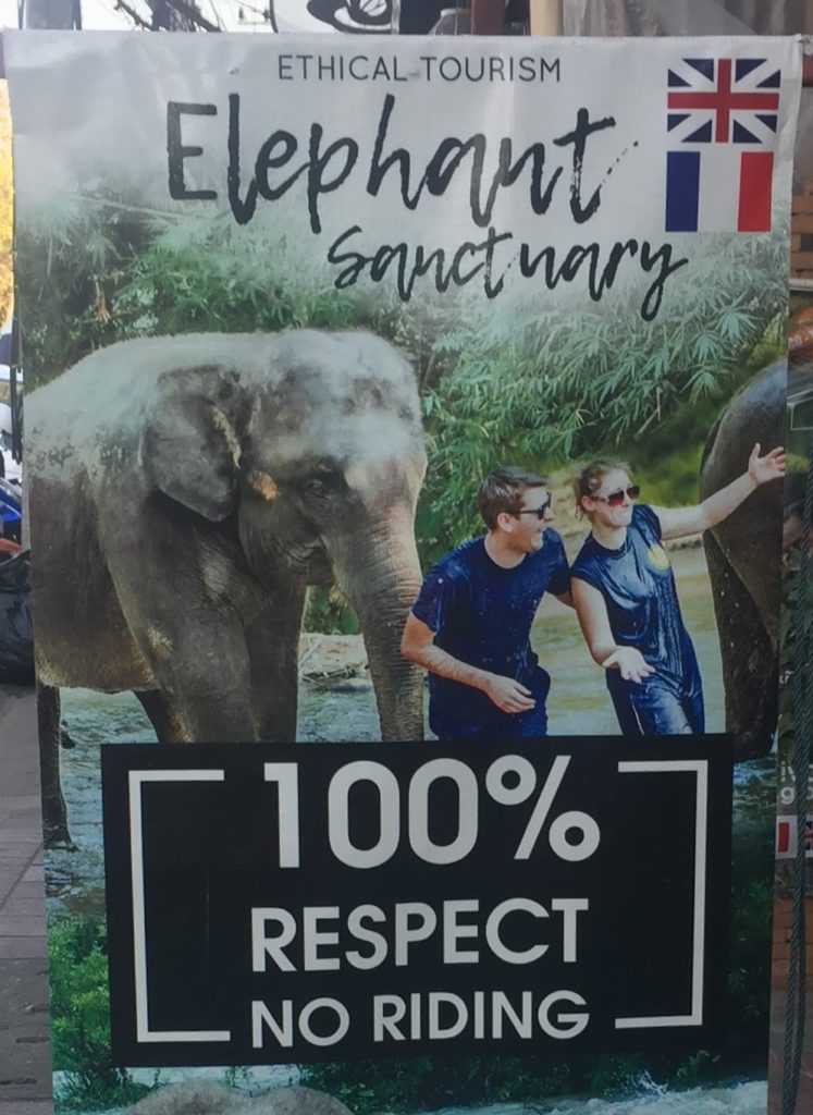 Elephant sanctuary brochure