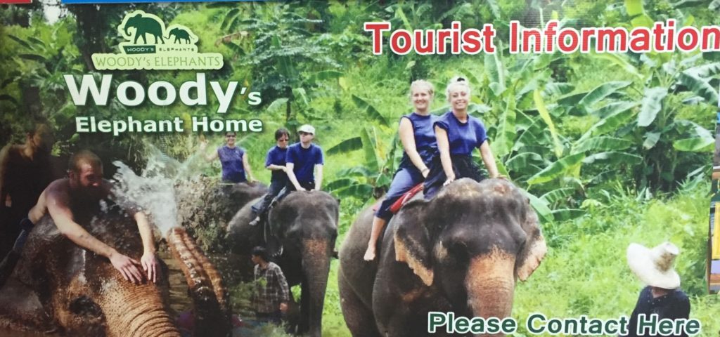 Elephant riding advertisement