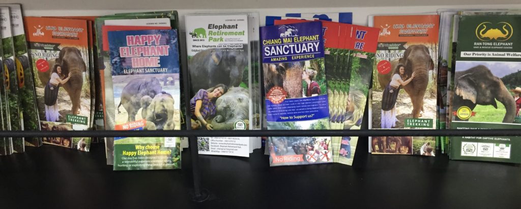 Elephant Sanctuary Brochures Chiang Mai