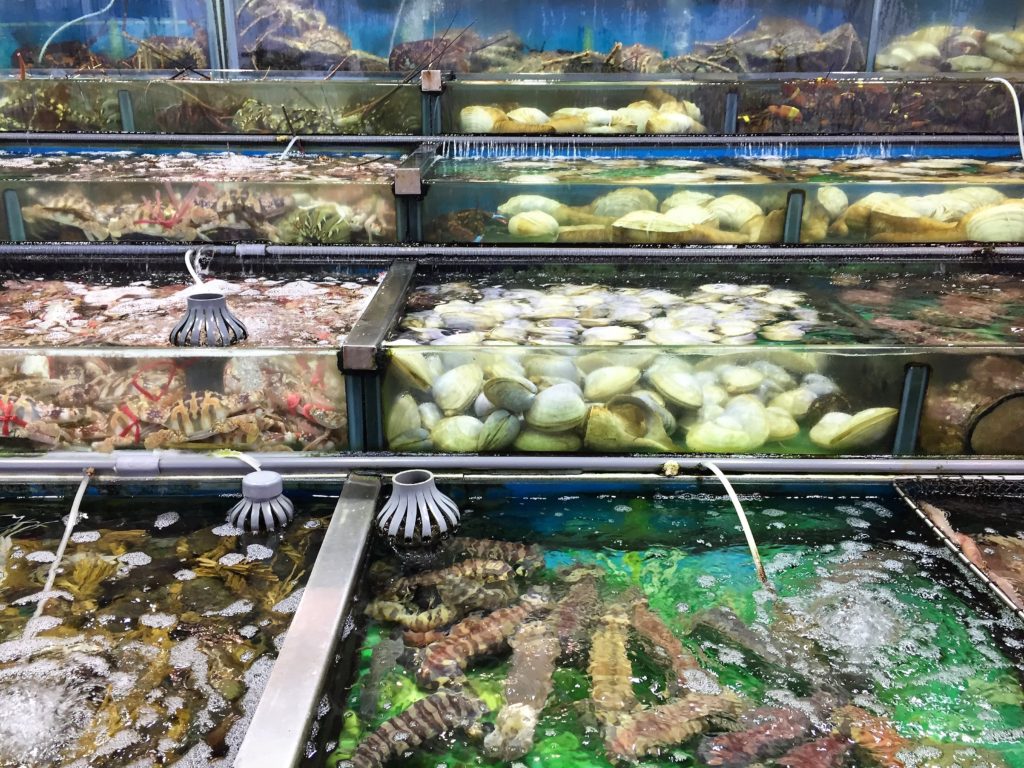Fresh Fish Sai Kung