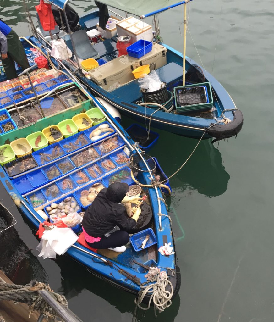 Descaling fish at Sai Kung