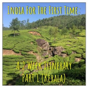 India For the First Time: A 2 Week Itinerary