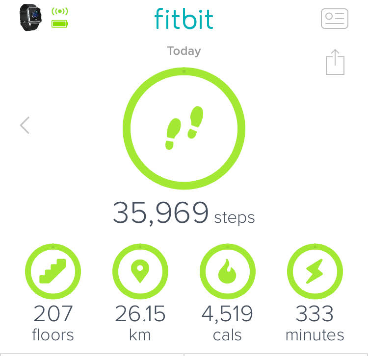 Petra step count