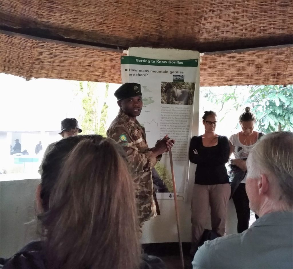 Bwindi Gorilla trek briefing