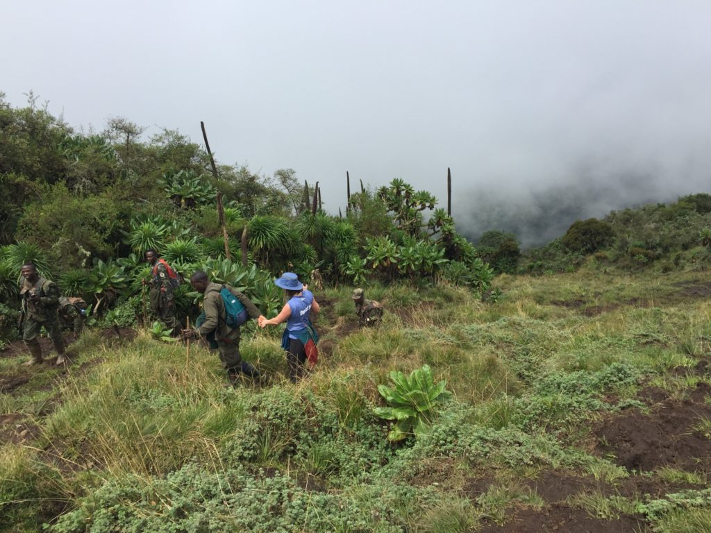 Mt Bisoke hike Rwanda